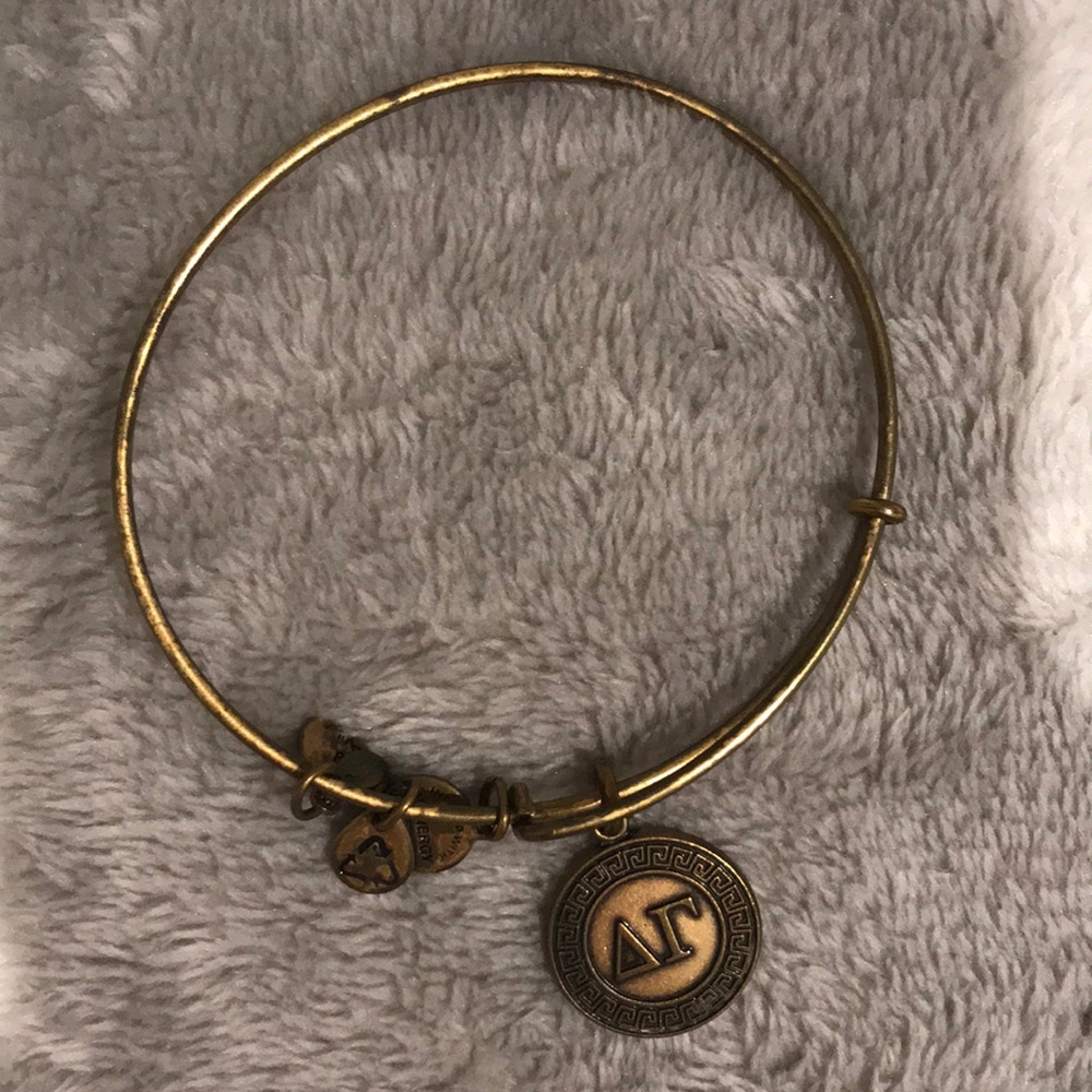 Alex and Ani bracelet